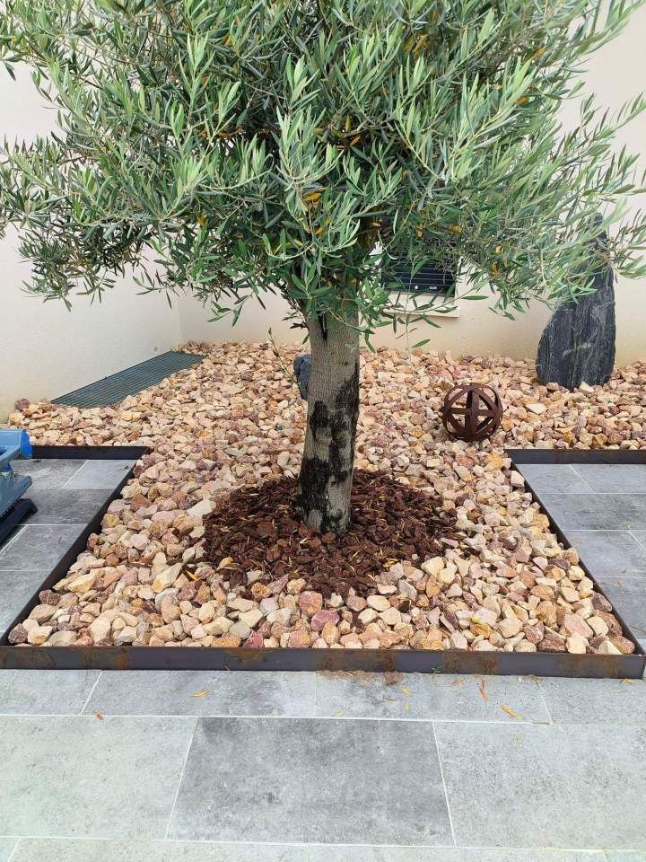 Aménagement paysager Saint Pantaléon de Larche