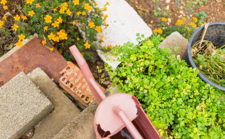 Création de jardins Saint-Pantaléon-de-Larche
