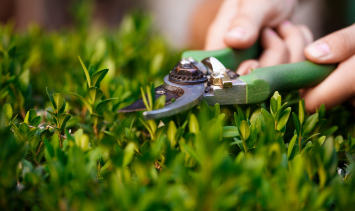 Proposez-vous des prestations personnalisées selon les besoins en matière de service à la personne ? Saint-Pantaléon-de-Larche
