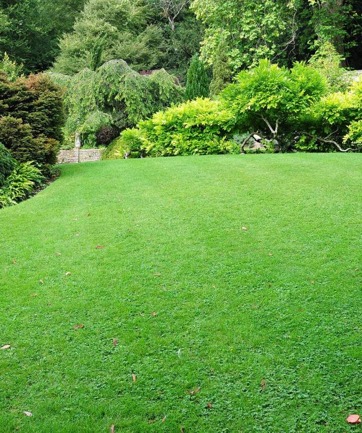 Conception sur mesure de parcs et jardins privatifs.